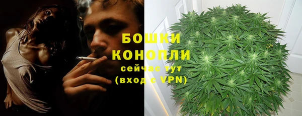 меф Горнозаводск